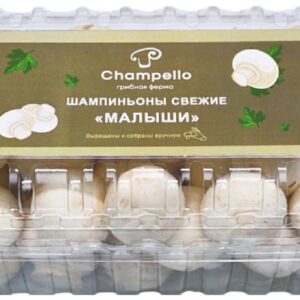 рибы champello свежие шампиньоны малыши Казахстан 350г