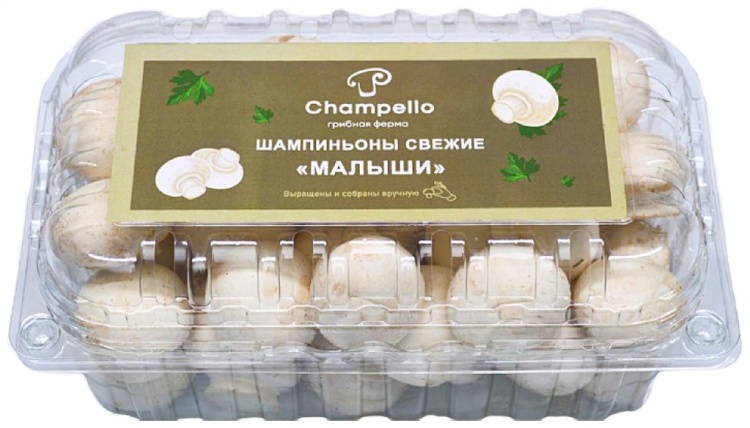 рибы champello свежие шампиньоны малыши Казахстан 350г