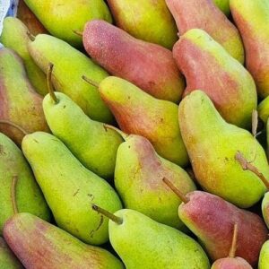 груша Талгарка Казахстан 1кг