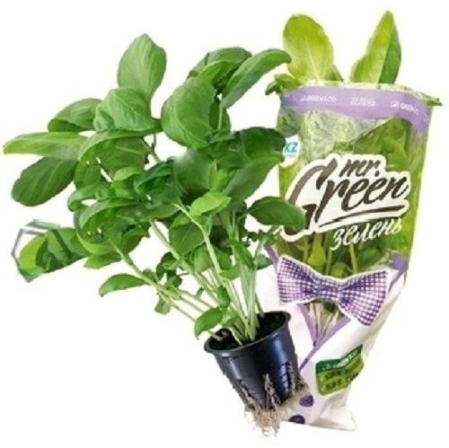 Mrs. Green базилик зеленый 80г