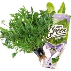 Mrs. Green руккола дикая Казахстан 80г