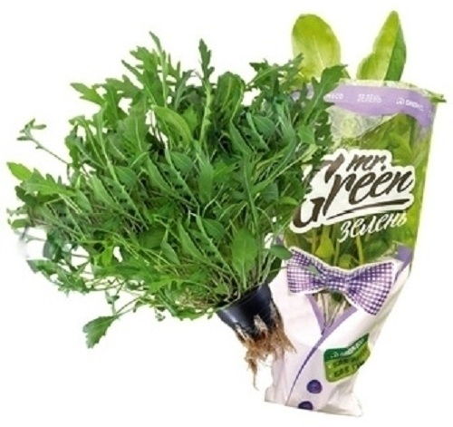 Mrs. Green руккола дикая Казахстан 80г